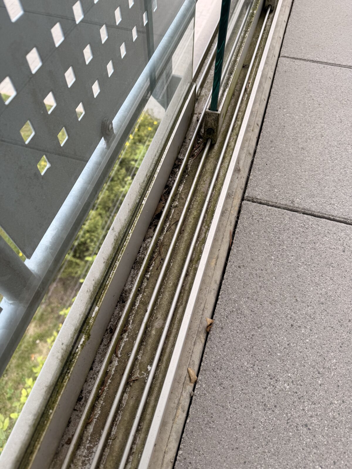 Balkon-Entwässerungsrinne vor der Grundreinigung, stark verschmutzt mit Moos und Laub
