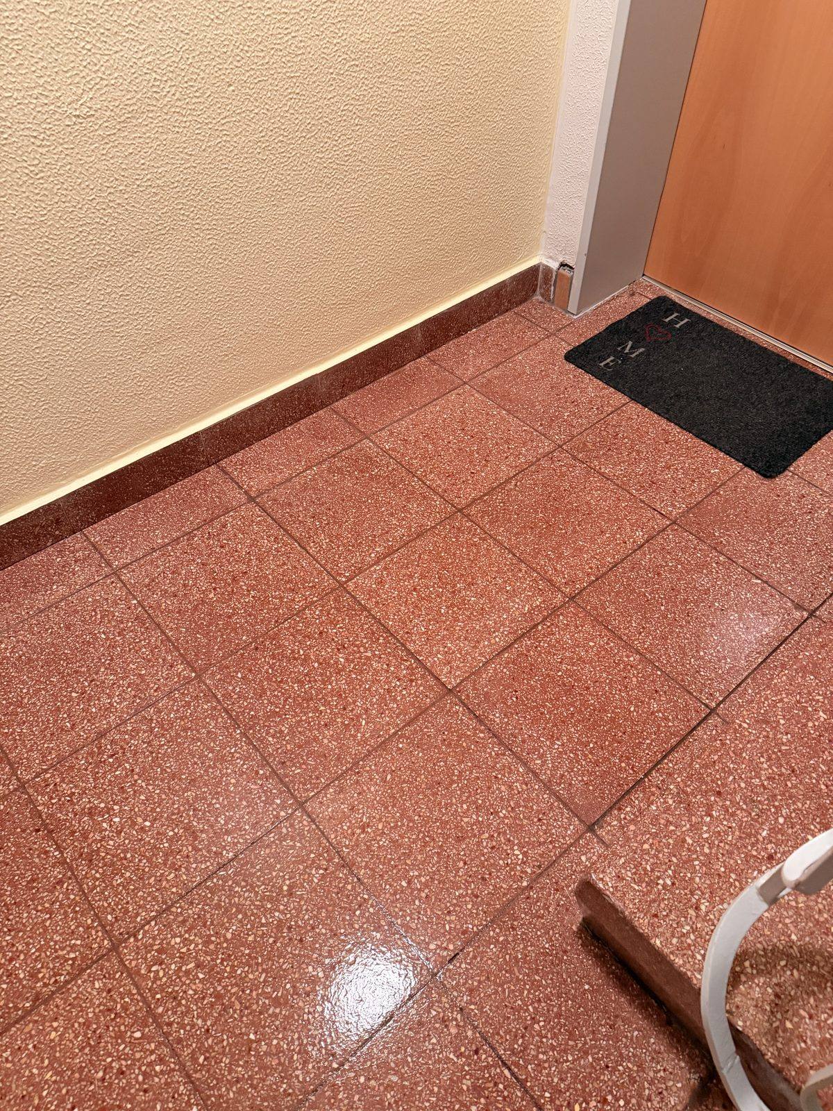 Eingangsbereich mit Terrazzo-Fliesen nach der Reinigung, streifenfrei