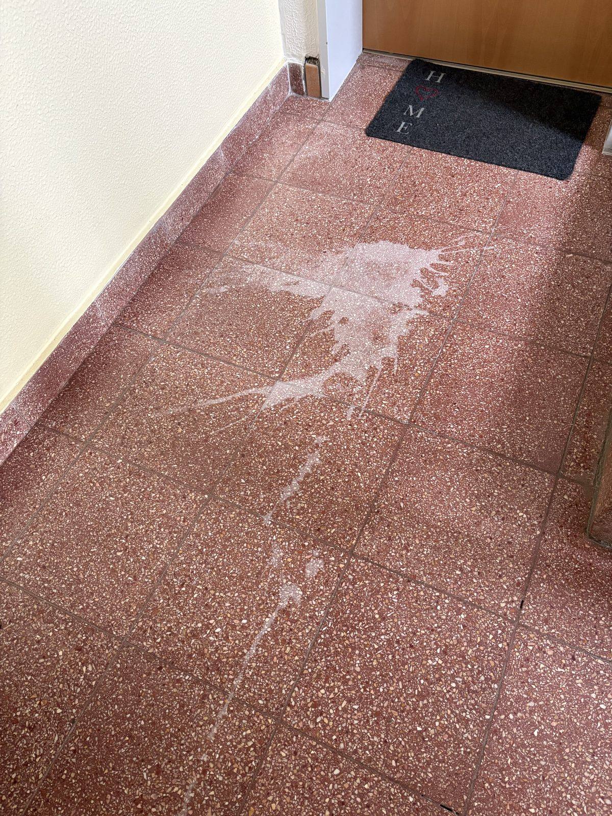Eingangsbereich mit Terrazzo-Fliesen vor der Reinigung, mit sichtbaren Schmutz- und Kalkspuren